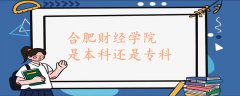 合肥财经学院是本科还是专科
